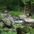 Debra Rugg's profile image