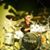 Michael W N Turgeon's profile image