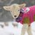 Kim Godden Duncan's profile image