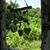 Lori Ann Murphy Roberts's profile image