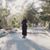محبوبي محبوبي's profile image