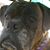 Teddi Myers's profile image
