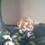 Clay Durham's profile image