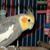 Nicholas Joslin's profile image