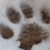 Shirl Weston's profile image