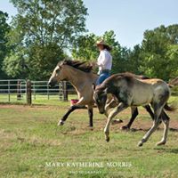 Lauren Henny's profile image