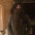 Charlie Carr's profile image