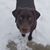 Pam Fritsch's profile image