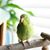 Brekke Felt's profile image