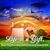 Pamela McGoughy's profile image