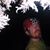 David Lyons's profile image