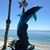 Jeannette Vonovich Williams's profile image