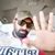 Rajesh Kumar's profile image