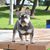 Ivan Flores's profile image