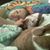 Julie Whitt's profile image