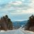 Debbie Faulkenbery's profile image
