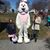 Stephanie Ann Schaffner's profile image