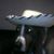 Jo Ann Whitfield's profile image