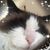 Lynn Hyneman Carroll's profile image