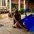 Patrizia Ascoli's profile image