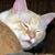 Beth Fuchs's profile image