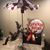 Becky Hollis Rychel's profile image