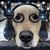 Marilyn Wright's profile image