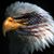 Harold Hess's profile image
