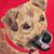 Amanda Blicharz's profile image