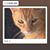 Gail Ellis Morris's profile image