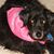 Alice Grapski's profile image