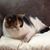 Shirley Shank's profile image
