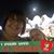 Elaine Hamel Birch's profile image