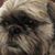 Kim Holloway's profile image