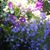 Heather Hinrichs's profile image