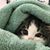 Lisa Marie Carignan's profile image