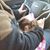 Trish Funkhouser's profile image