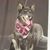 Karen Stitely's profile image