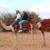 Fran Coya's profile image