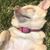 Kimberly Boothe's profile image