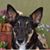 Kathy Glaes's profile image