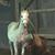 Susan Sciortino's profile image
