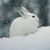 Laura Cook Taylor's profile image