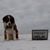 Guerin Miller's profile image