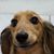 Douglas Vandenburgh's profile image
