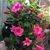 Luz Treto's profile image