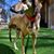 Debbie J Futch-Miller's profile image