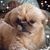 Debbie G Collom's profile image