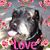 Judy Scott's profile image