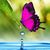 Gracie Rios Castillo's profile image
